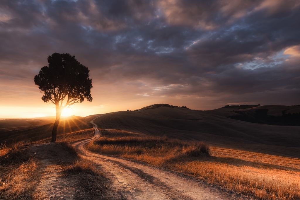 Alba dorata sulle Crete Senesi