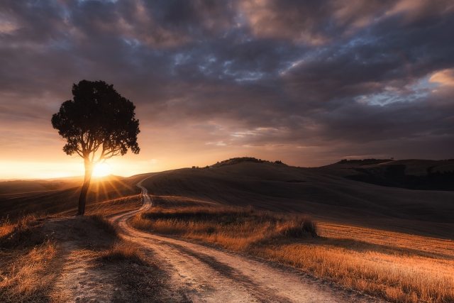 Alba dorata sulle Crete Senesi