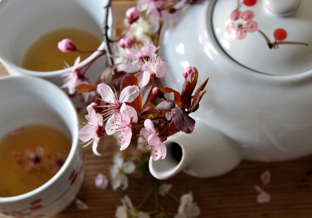 Hanami Tè