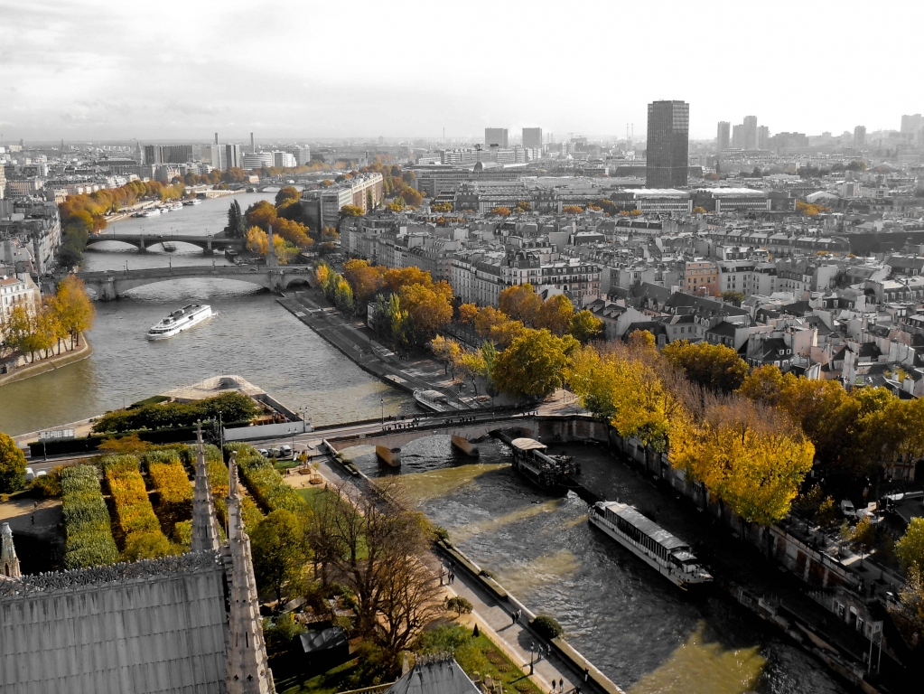 L' Autunno da Notre Dame