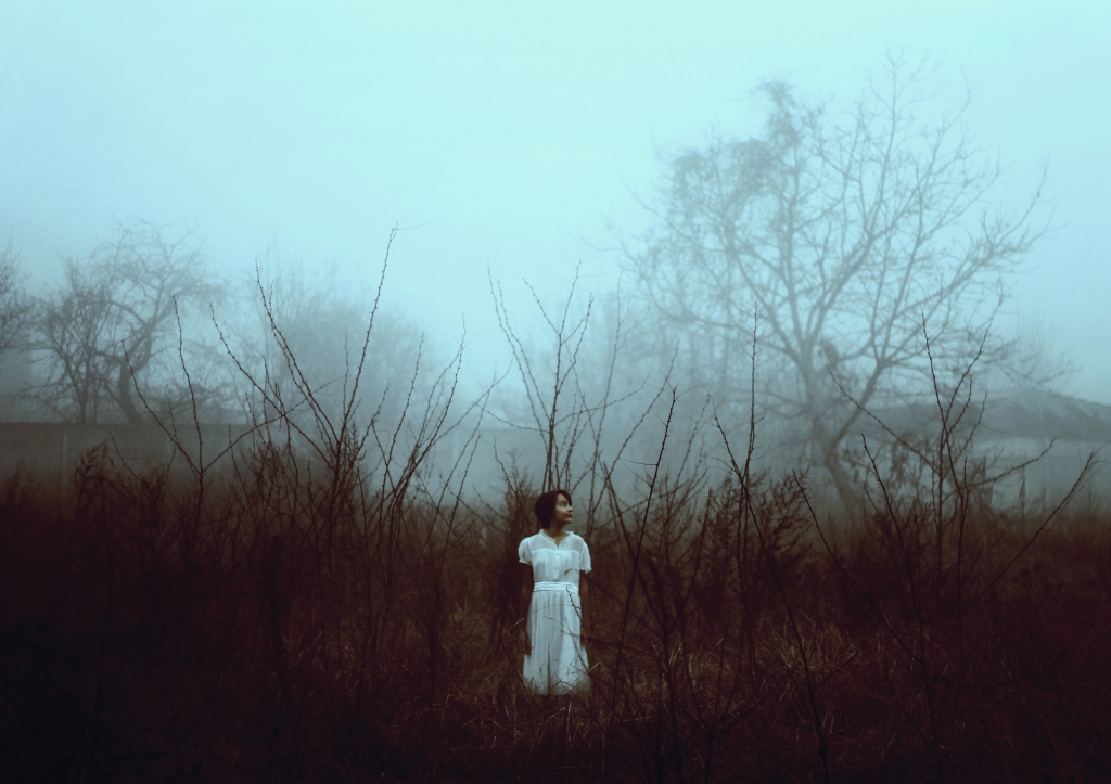 Fog