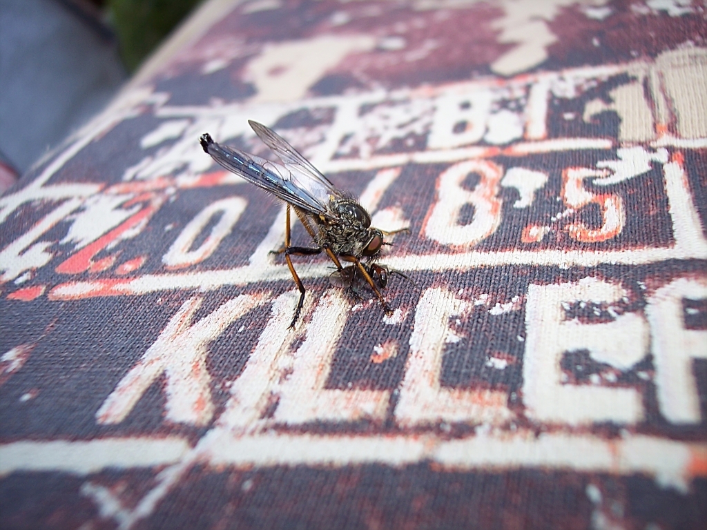 Killer