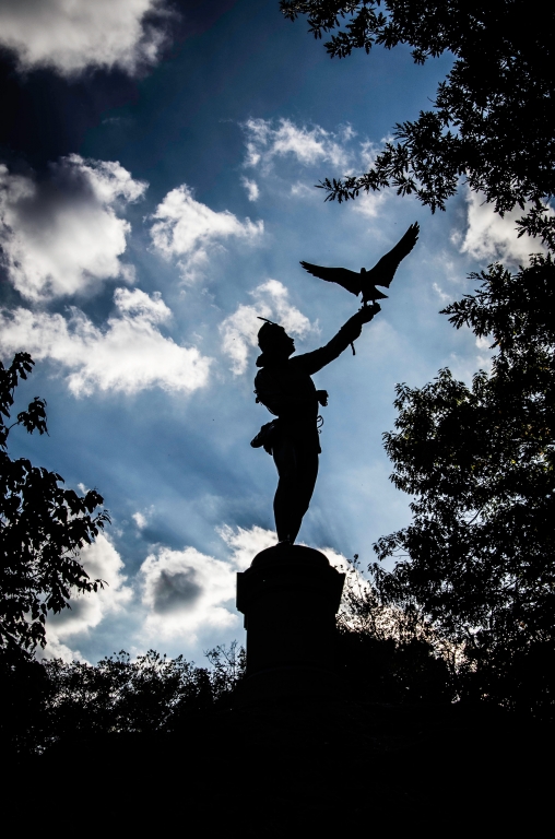 The Falconer
