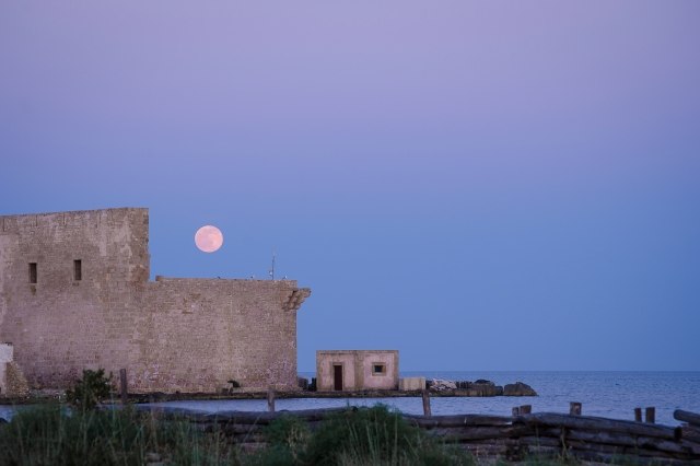 Moon Light