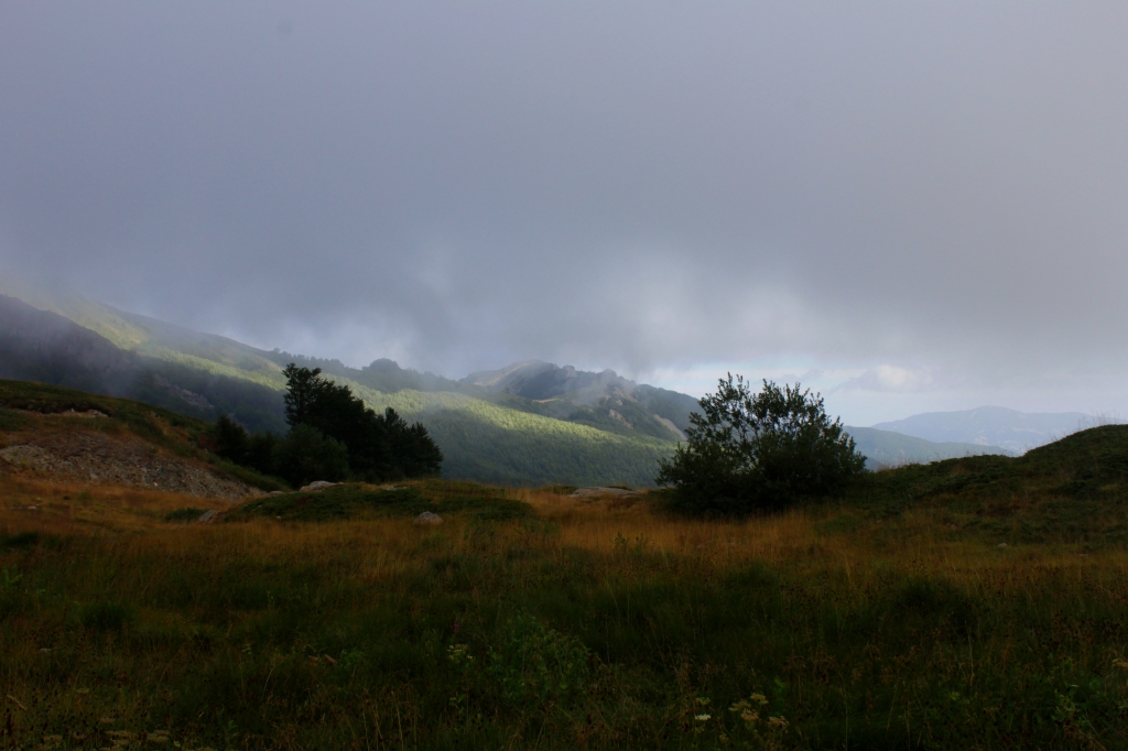 Tra la nebbia