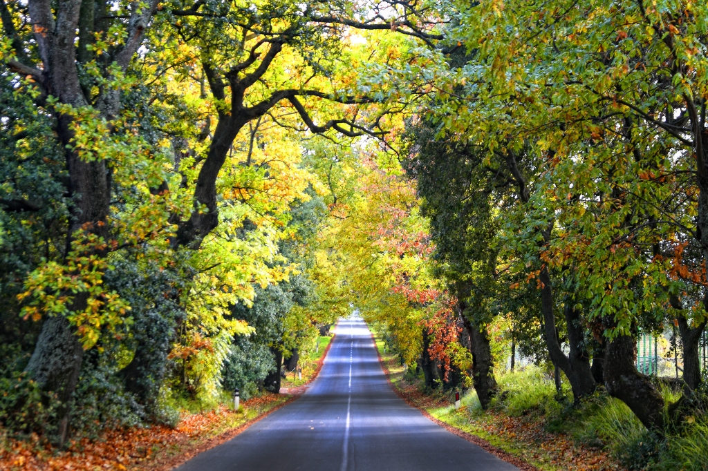 Autunno in Toscana
