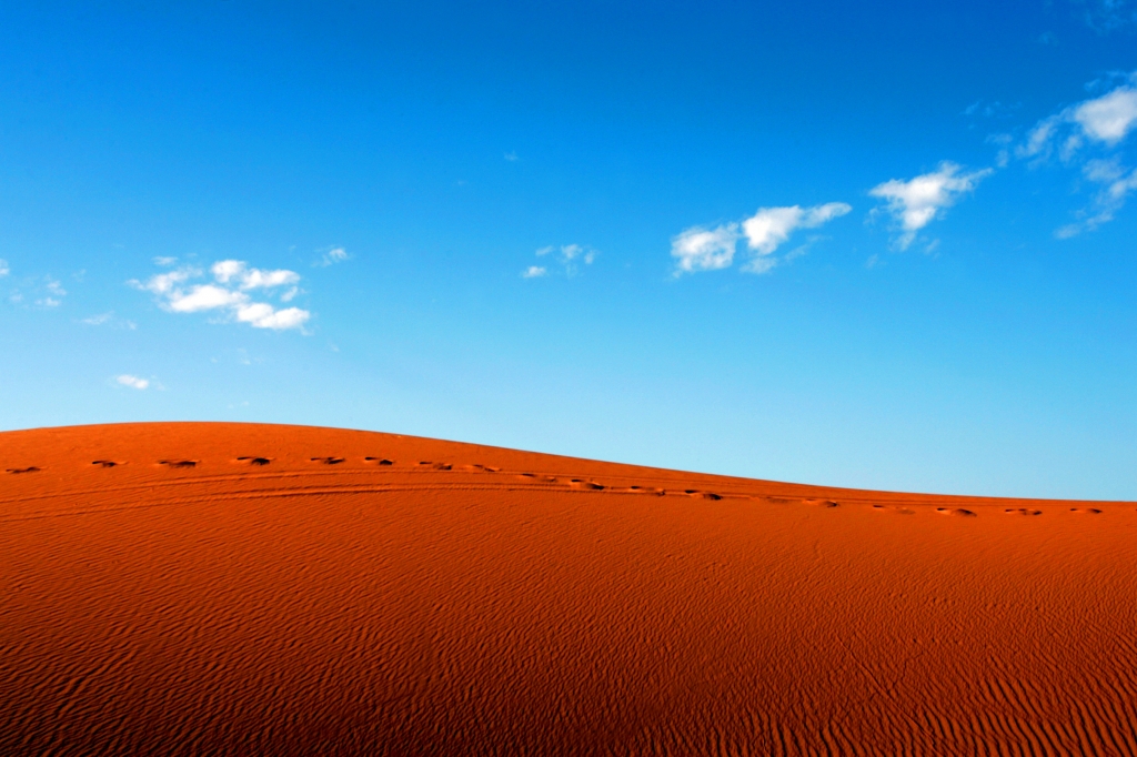 Segni di Vita nel deserto