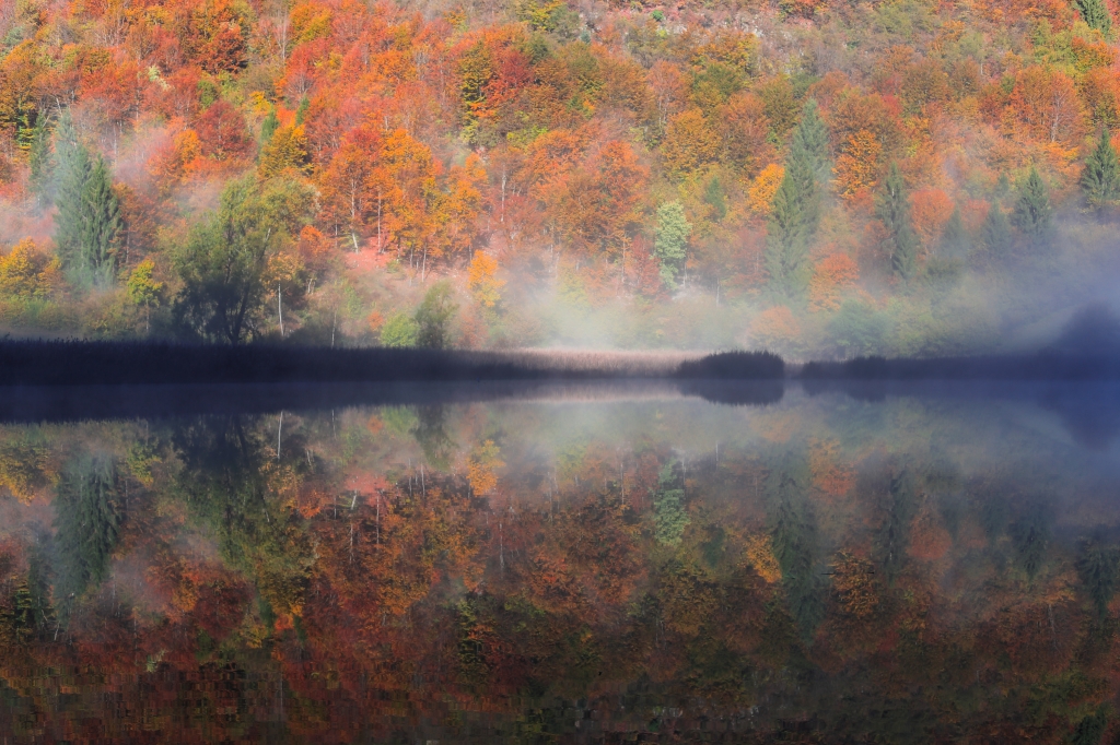 riflesso