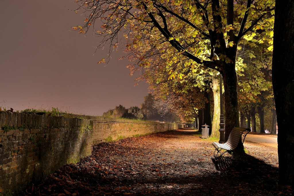 Color of Night
