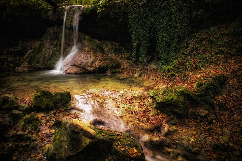 La foresta incantata