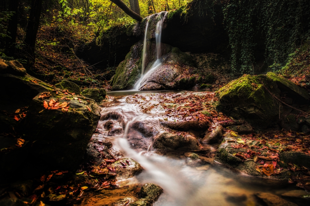 La foresta incantata