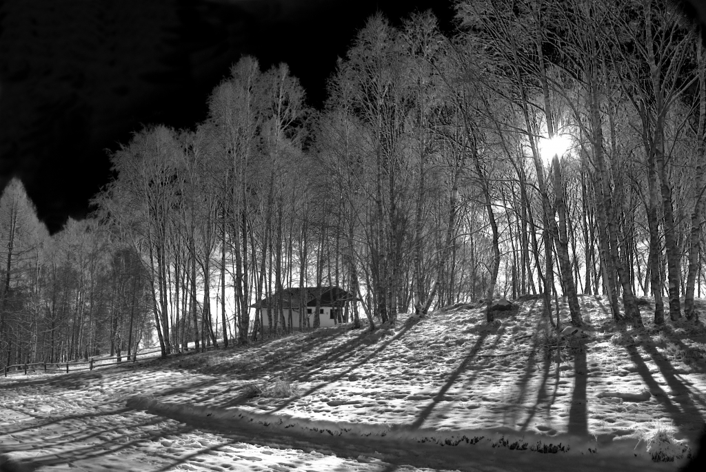 nevicata