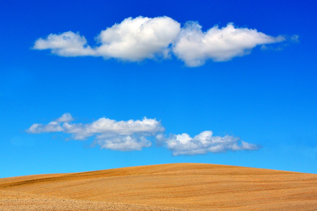 Crete senesi, 2016