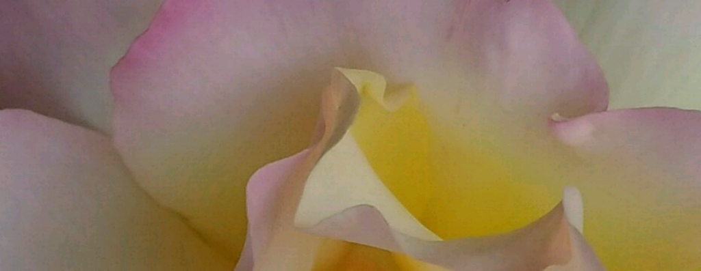 sfumature orizzontali1