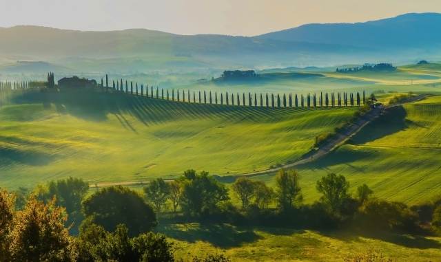 Poggio