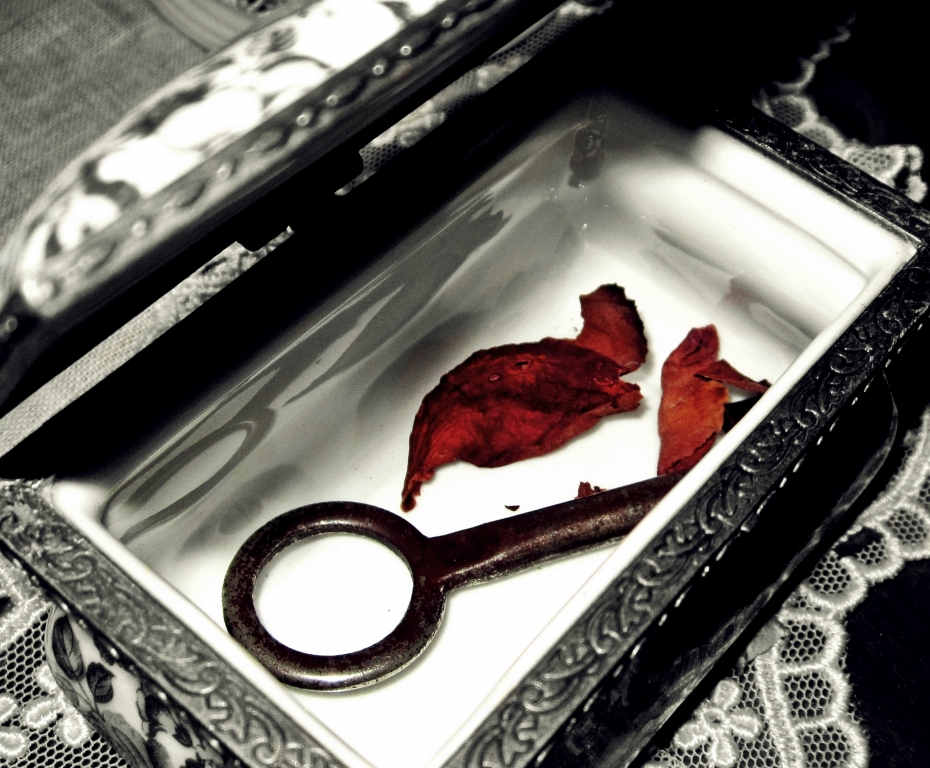 Il segreto (2)
