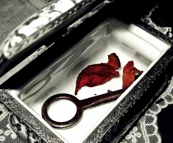 Il segreto (2)