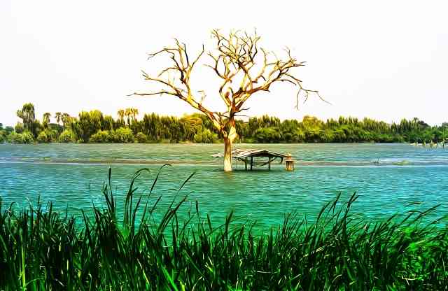 Alluvione in Thailandia