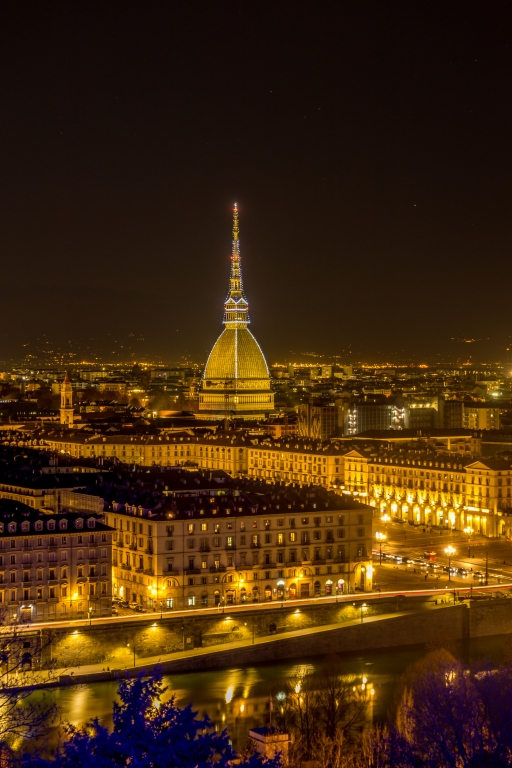 Paesaggio di Torino con la mole antonelliana in primo piano