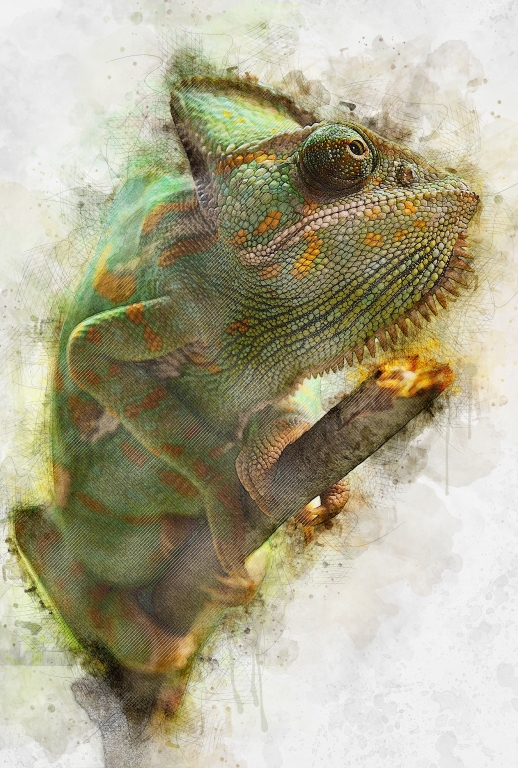 Chameleon