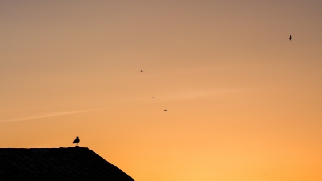 tramonto d'estate