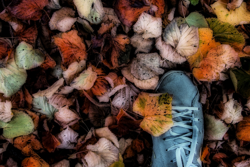Ciao Autunno