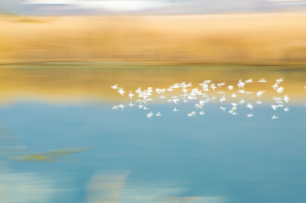 Volare sull'acqua