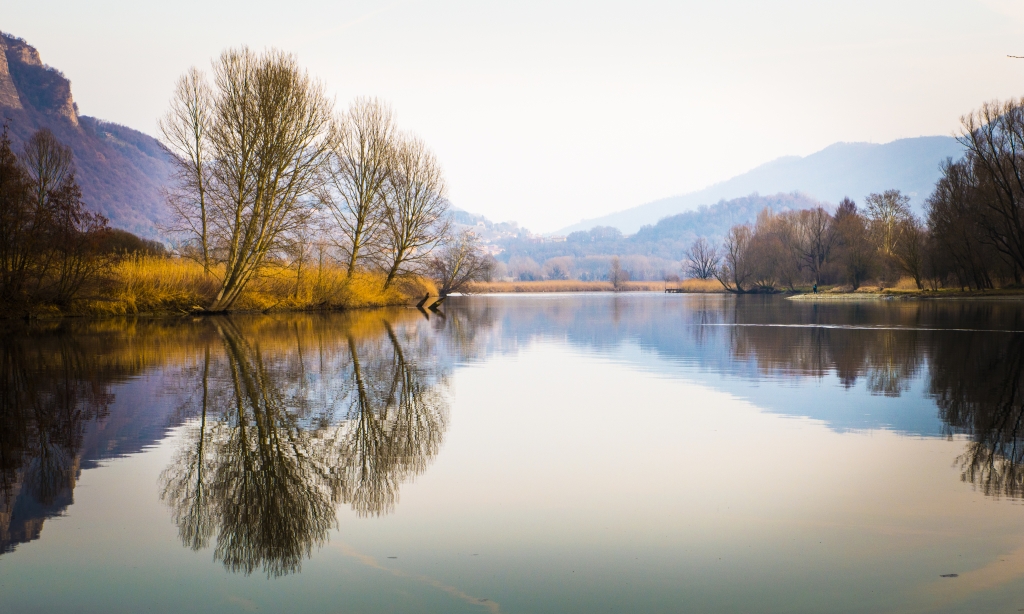 La natura lungo il fiume