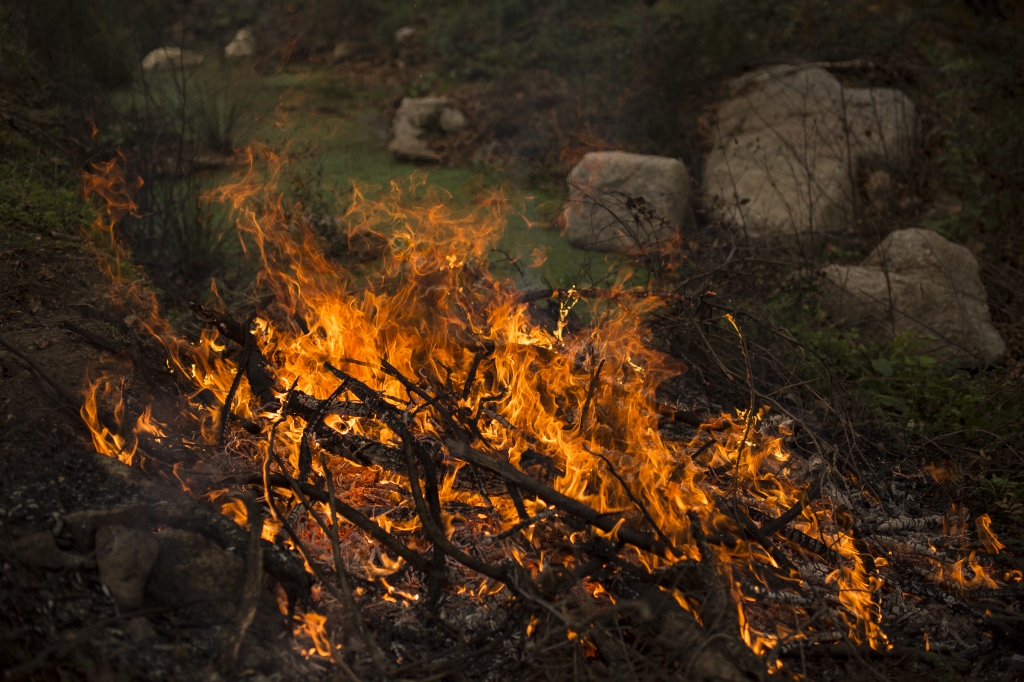 fuoco
