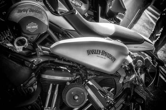 motocicletta harley davidson logo serbatoio  bianco e nero