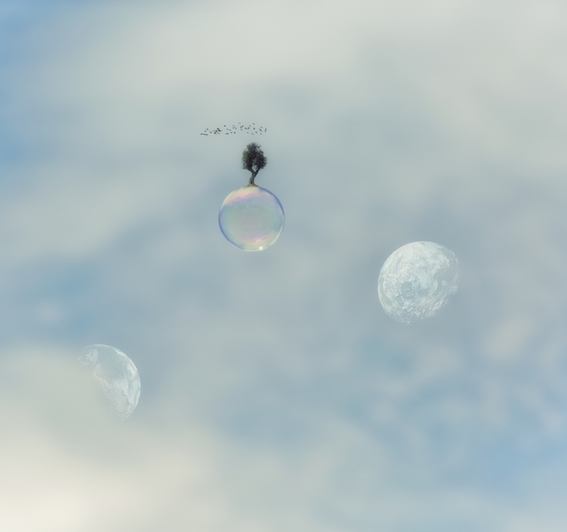 A NEW LIFE