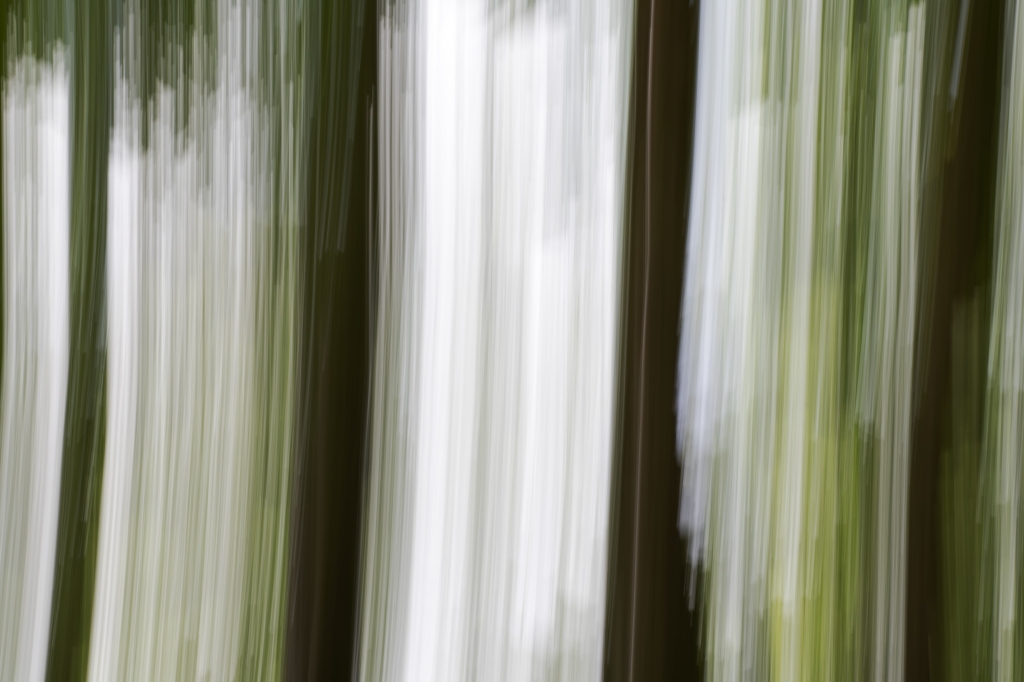 visione onirica #3