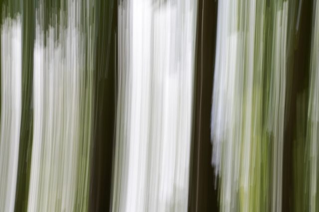 visione onirica #3