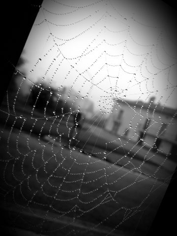 L'alba di Spiderman