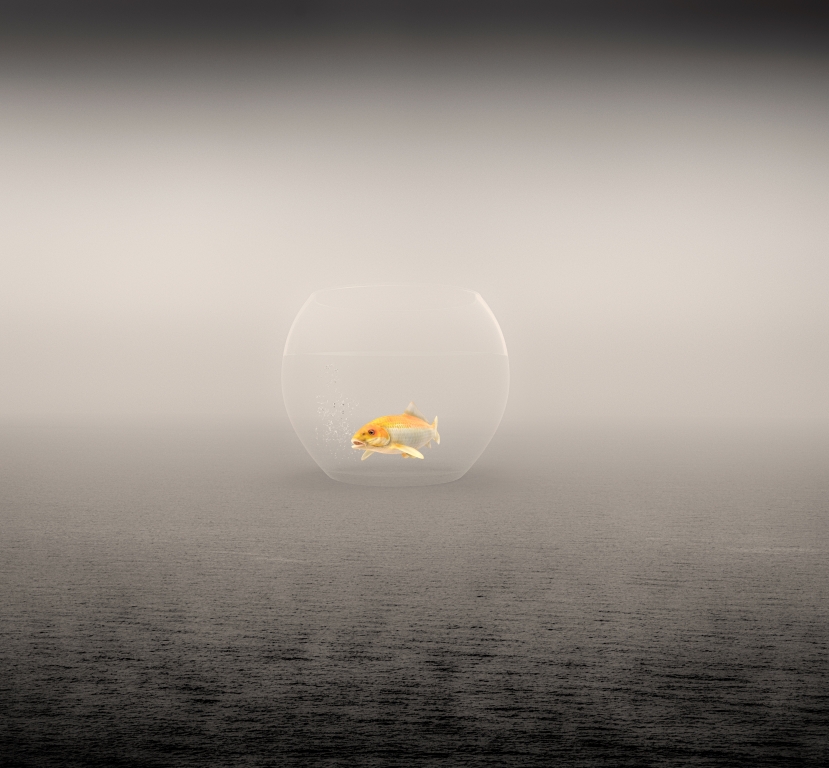 FORGOTTEN OCEANS