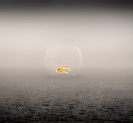 FORGOTTEN OCEANS