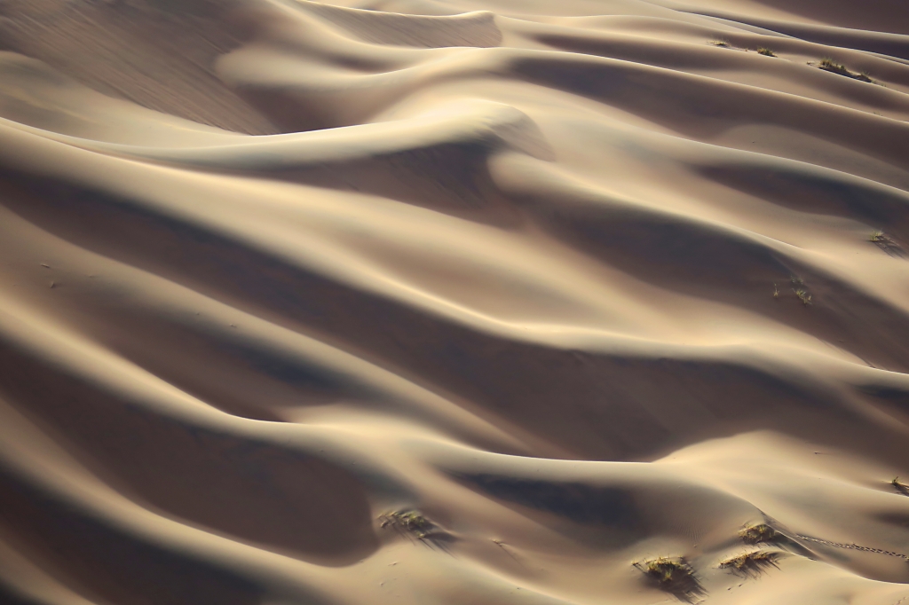 dune