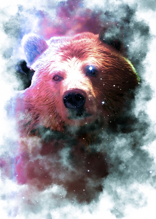 Stellar Bear