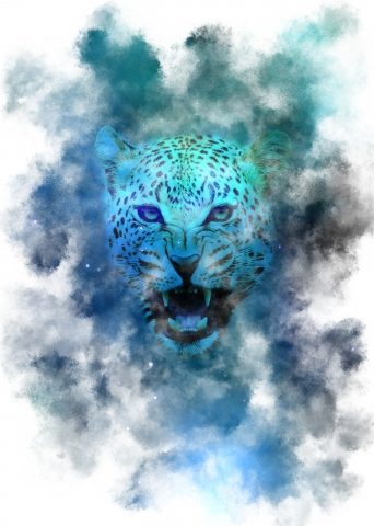 Stellar jaguar