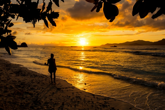 dream sunset beach