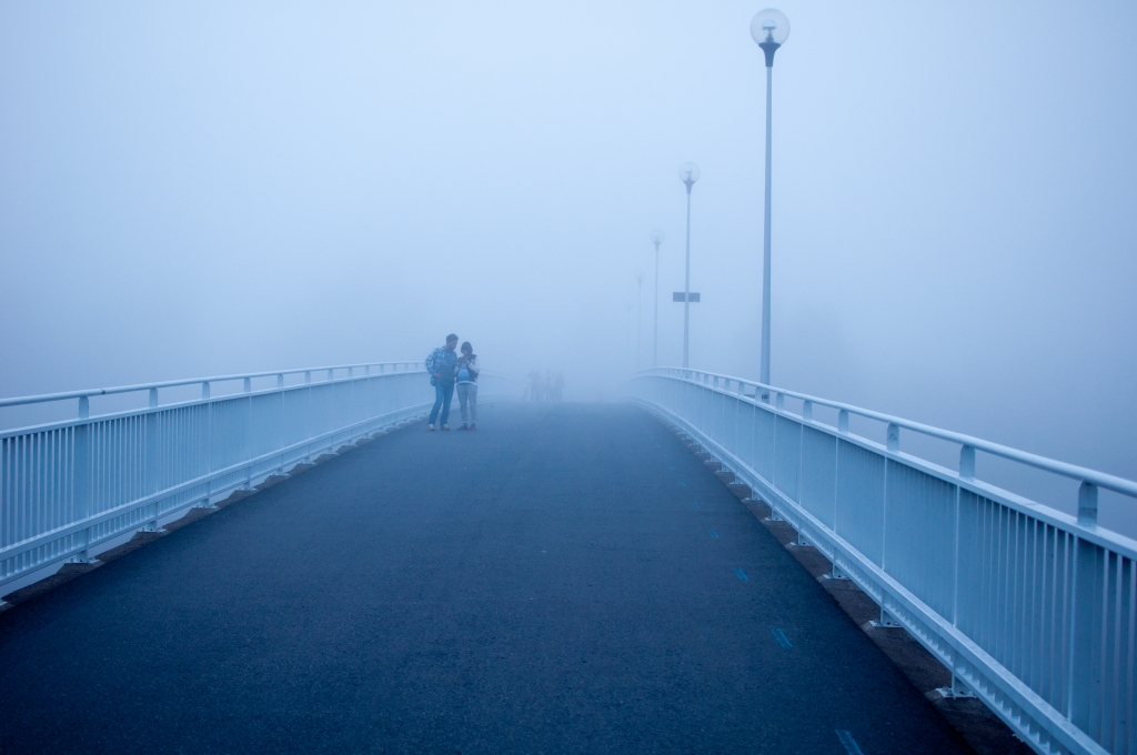Lost in the Fog