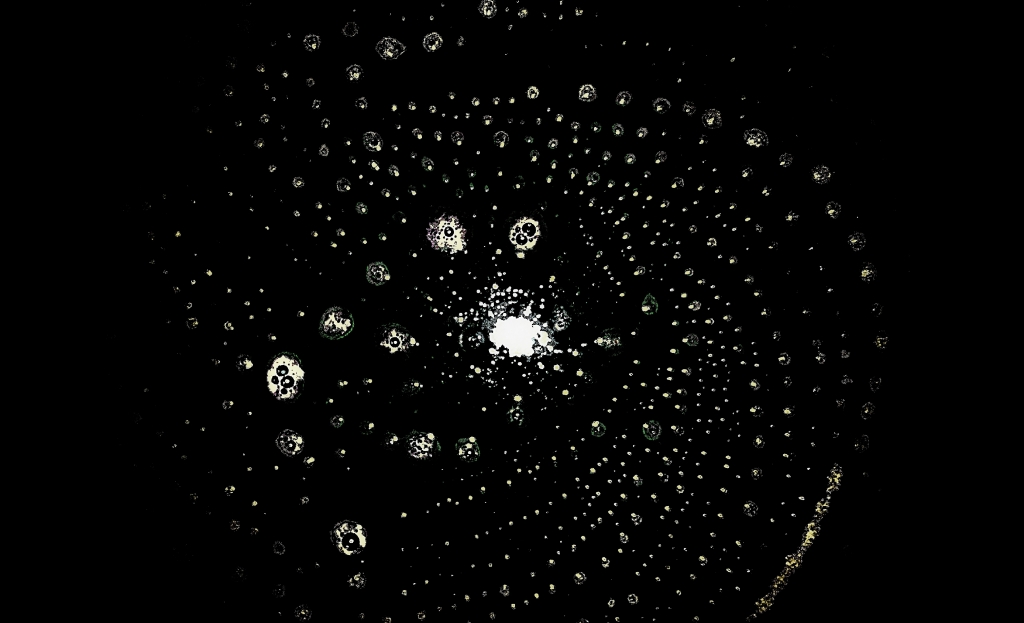 Dishes soap universe