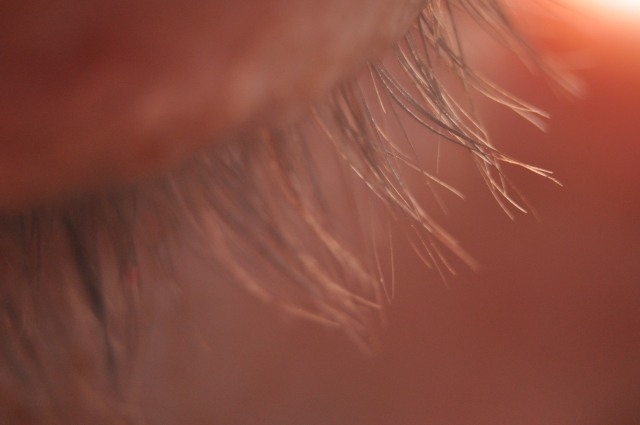 Ciglia