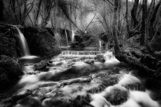 Ruscello con cascate nel bosco. Lunga esposizione