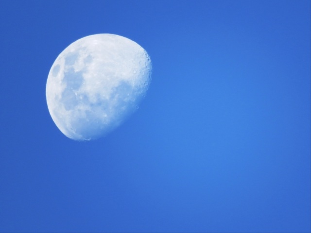 LUNA POMERIDIANA