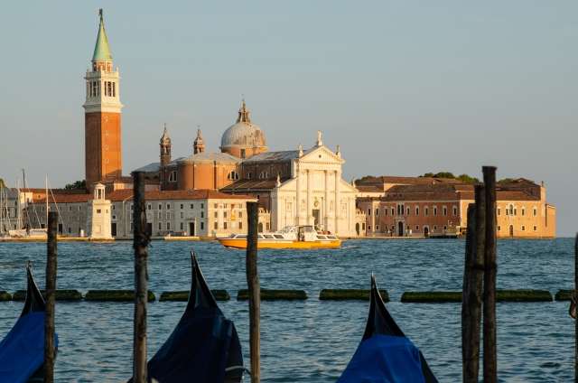 Cartolina da Venezia : prue delle gondole verso la Giudecca