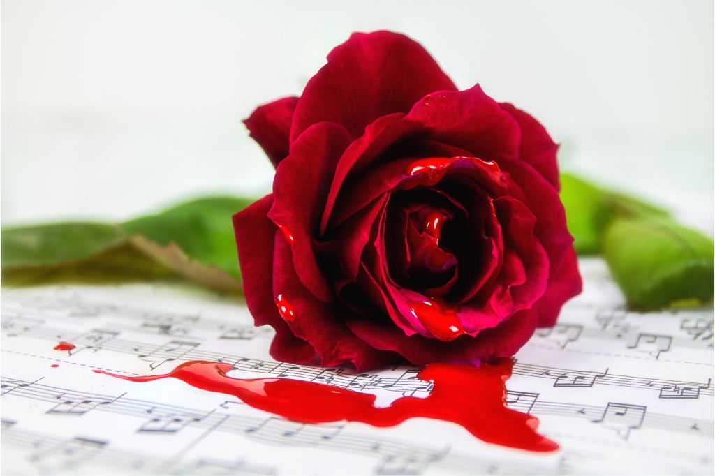 Eufonia rosso sangue