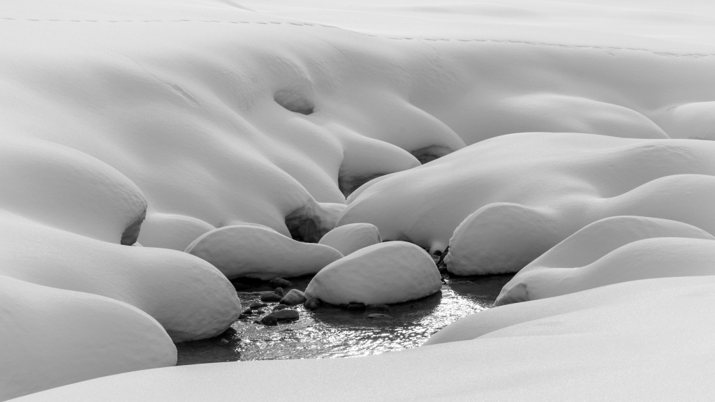 Dettagli di neve