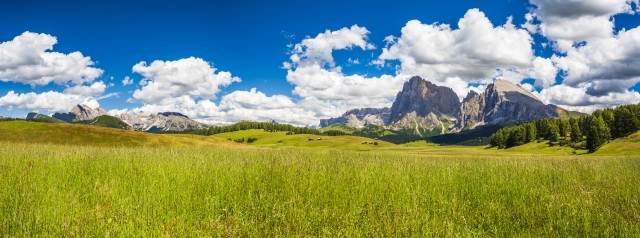 Panorama dell'Alpe di Siusi. Dolomiti