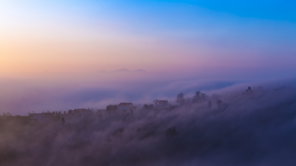 purple haze